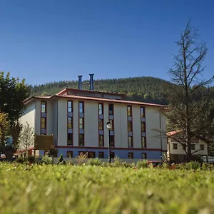 Hotel Balneario Nº 01224, Areatza